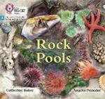 Rock Pools: Phase 3 Set 1