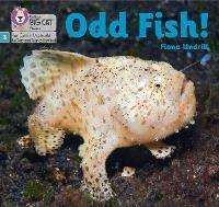 Odd Fish!: Phase 3 Set 1 - Fiona Undrill - cover