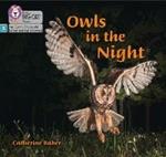 Owls in the Night: Phase 3 Set 2