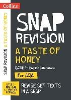 A Taste of Honey AQA GCSE 9-1 English Literature Text Guide: Ideal for the 2025 and 2026 Exams - Collins GCSE - cover