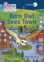 Barn Owl Sees Town: Phase 3 Set 1 Blending Practice