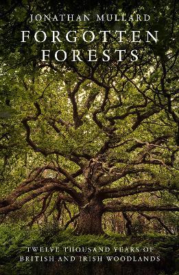Forgotten Forests: Twelve Thousand Years of British and Irish Woodlands - Jonathan Mullard - cover