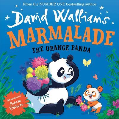 Marmalade: The Orange Panda - David Walliams - cover