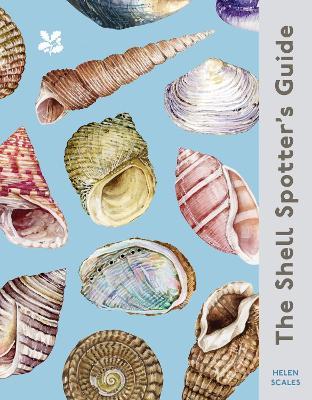 The Shell Spotter’s Guide - Helen Scales - cover