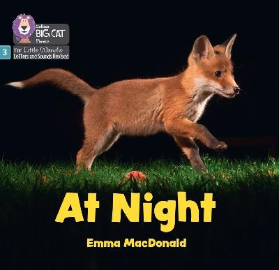 At Night: Phase 3 Set 1 Blending Practice - Emma MacDonald - cover