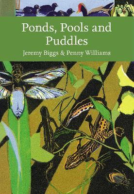 Ponds, Pools and Puddles - Jeremy Biggs,Penny Williams - cover