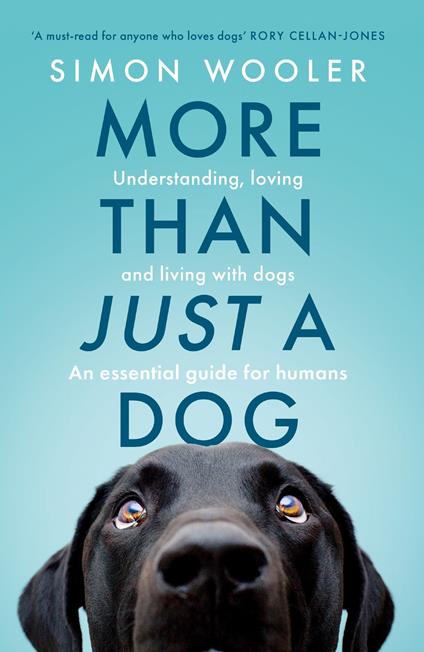 More Than Just a Dog: Understanding, loving and living with dogs. An essential guide for humans.