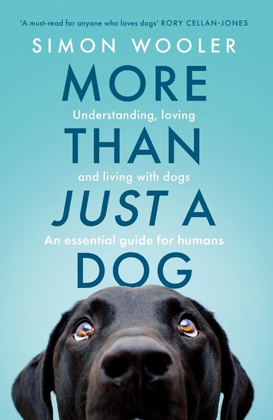 More Than Just a Dog: Understanding, loving and living with dogs. An essential guide for humans.