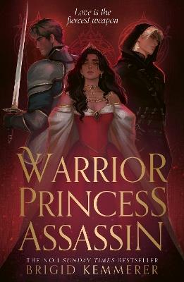 Warrior Princess Assassin - Brigid Kemmerer - cover