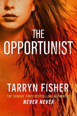 The Opportunist - Tarryn Fisher - cover