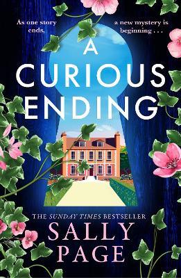 A Curious Ending - Sally Page - cover