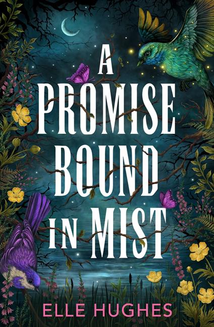 A Promise Bound in Mist - Elle Hughes - ebook