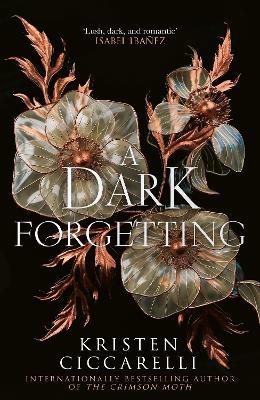 A Dark Forgetting - Kristen Ciccarelli - cover