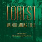 Forest: Walking among trees