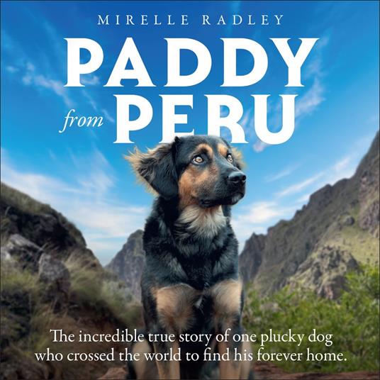 Paddy from Peru