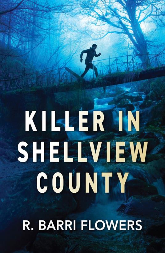 Killer In Shellview County (Bureaus of Investigation Mysteries, Book 1) (Mills & Boon Heroes)
