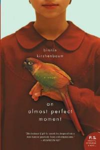 An Almost Perfect Moment - Binnie Kirshenbaum - cover