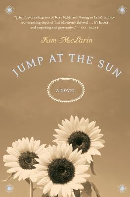 Jump at the Sun - Kim McLarin - cover