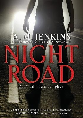 Night Road - A m Jenkins - cover