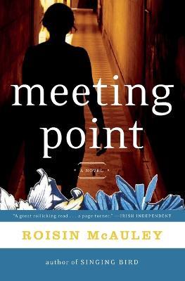 Meeting Point - Roisin McAuley - cover