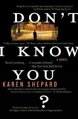 Don't I Know You? - Karen Shepard - cover