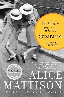 In Case We're Separated: Connected Stories - Alice Mattison - cover