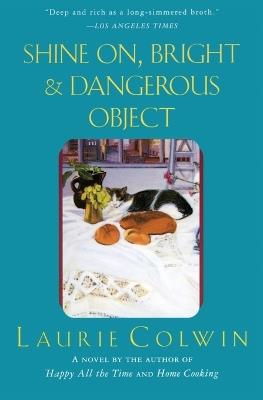 Shine On, Bright and Dangerous Object - Laurie Colwin - cover