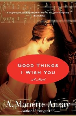Good Things I Wish You - A Manette Ansay - cover