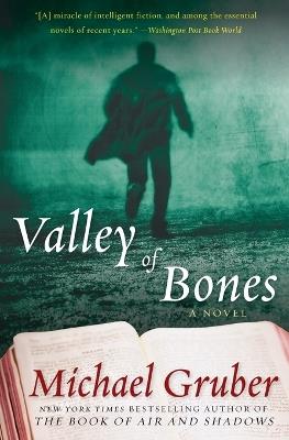 Valley of Bones - Michael Gruber - cover