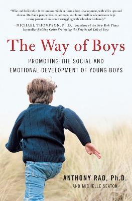 The Way of Boys: Promoting the Social and Emotional Development of Young Boys - Anthony Rao,Michelle D. Seaton - cover