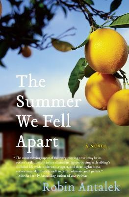 The Summer We Fell Apart - Robin Antalek - cover