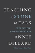 Teaching a Stone to Talk