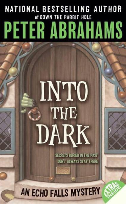 Into the Dark - Peter Abrahams - ebook