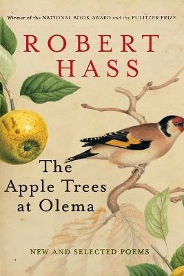 The Apple Trees at Olema: New and Selected Poems - Robert Hass - cover