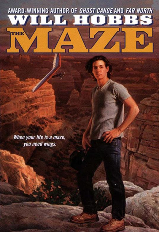 The Maze - Will Hobbs - ebook