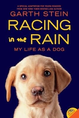 Racing in the Rain: My Life as a Dog - Garth Stein - cover