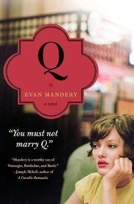 Q: A Novel - Evan Mandery - cover