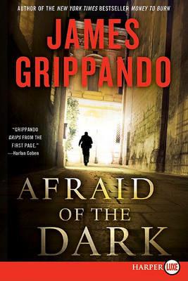 Afraid of the Dark Large Print - James Grippando - cover