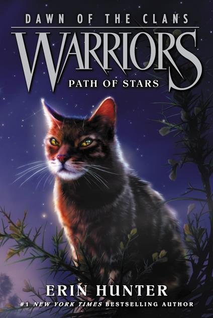Warriors: Dawn of the Clans #6: Path of Stars - Erin Hunter,Allen Douglas,Wayne McLoughlin - ebook