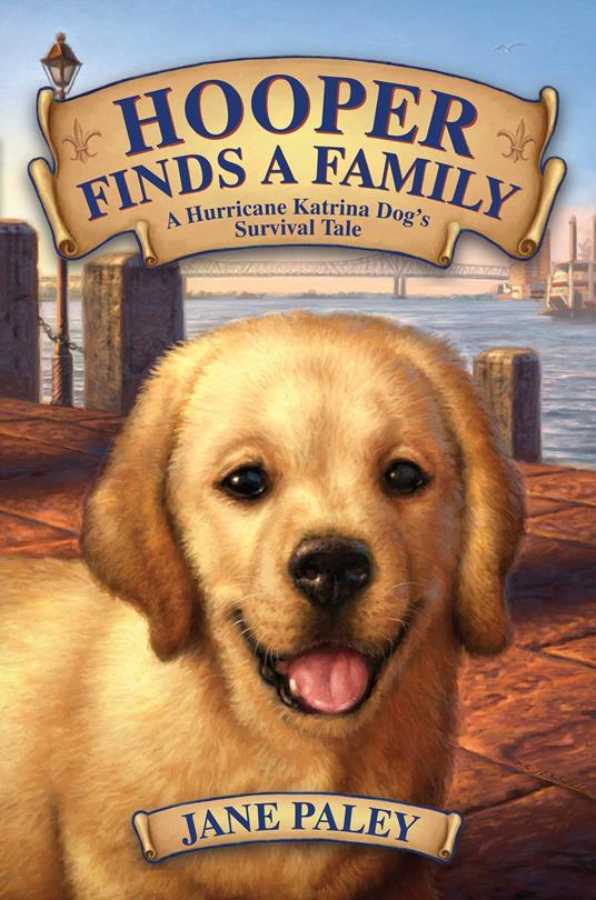 Hooper Finds a Family - Jane Paley - ebook