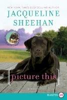 Picture This: A Novel LP - Jacqueline Sheehan - cover