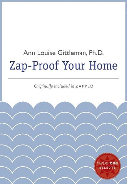 Zap Proof Your Home