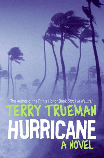 Hurricane - Terry Trueman - ebook