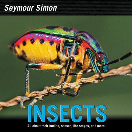 Insects - Seymour Simon - ebook