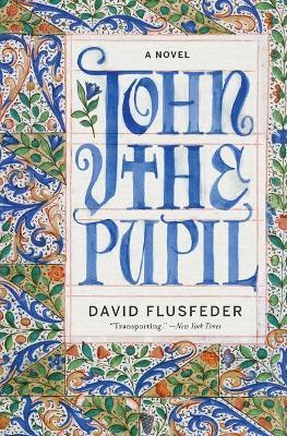 John the Pupil - David Flusfeder - cover