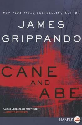 Cane and Abe [Large Print] - James Grippando - cover
