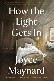 How the Light Gets In: A Novel