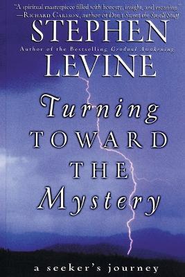 Turning Towards the Mystery - Stephen Levine - cover