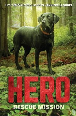 Hero: Rescue Mission - Jennifer Li Shotz - cover