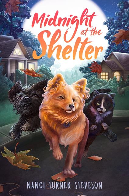 Midnight at the Shelter - Nanci Turner Steveson - ebook